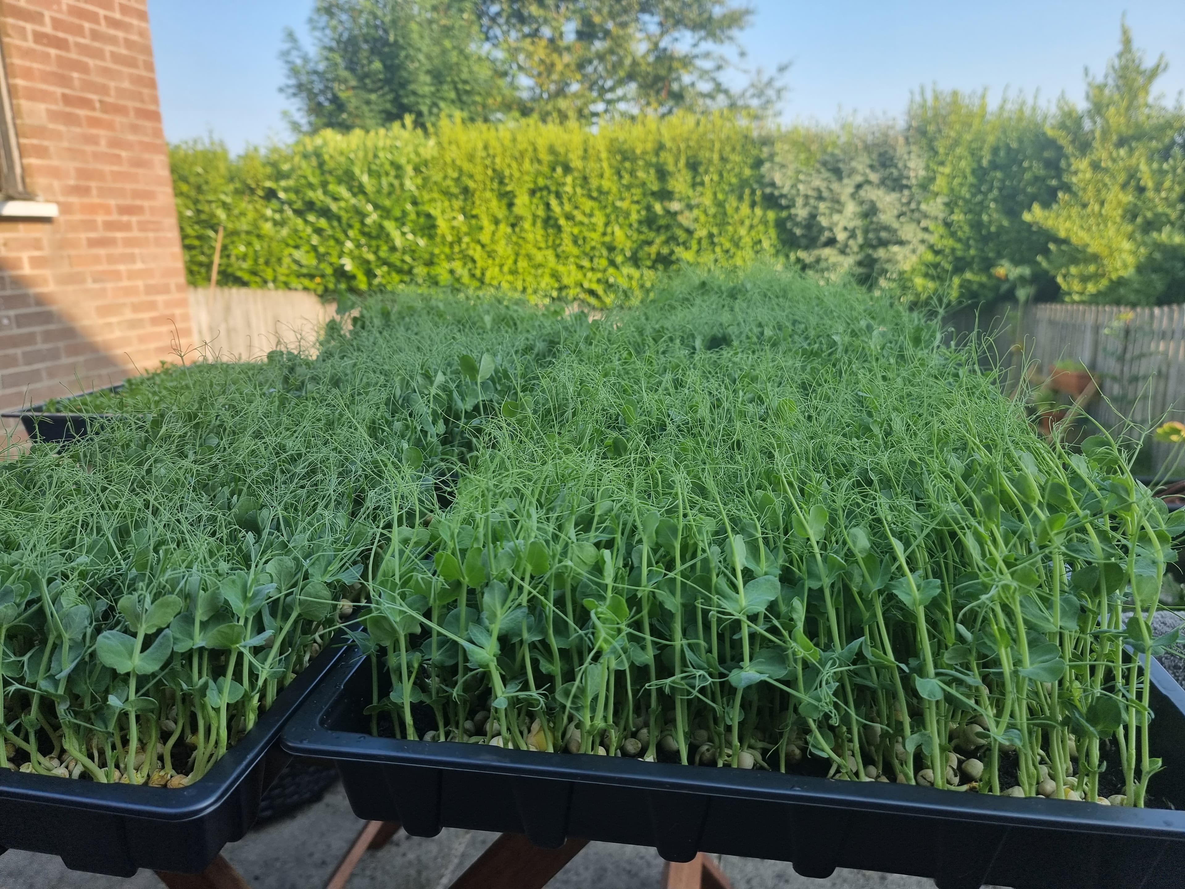 Phil Yer Pot farm and greenhouse